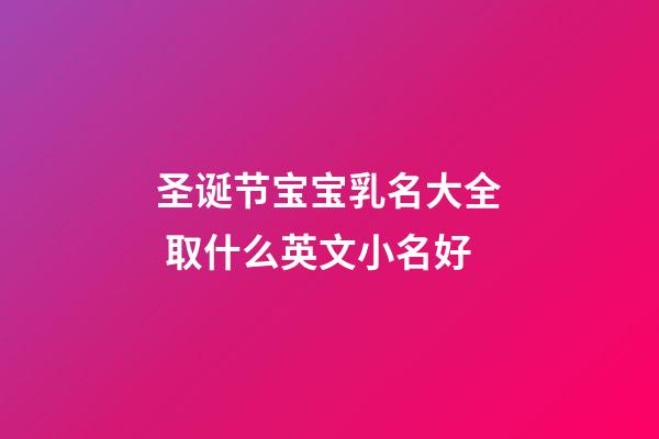 圣诞节宝宝乳名大全 取什么英文小名好